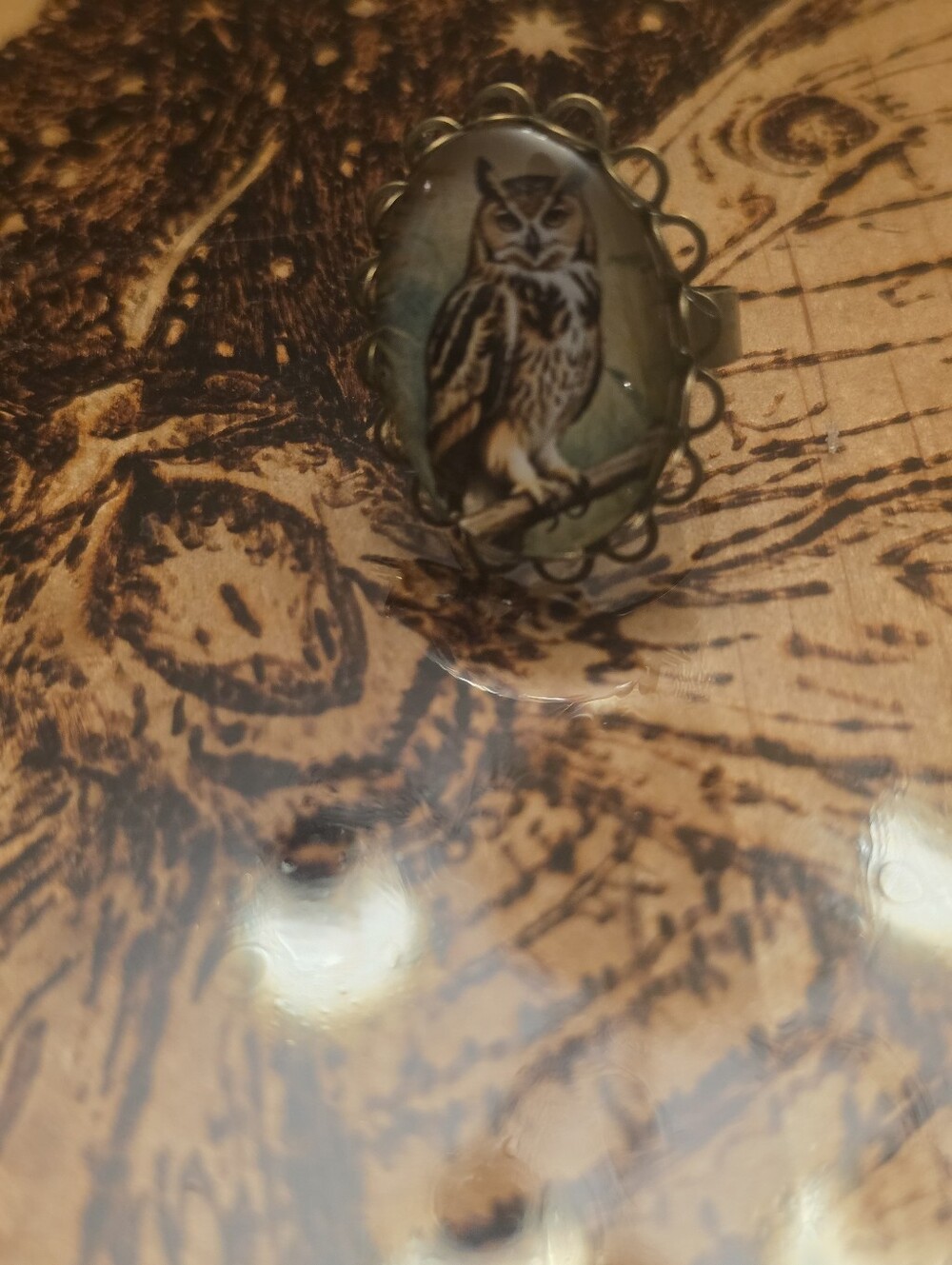 Bronze Tone Metal Adjustable Lime Background  Owl Ring